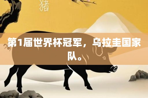 第1届世界杯冠军，乌拉圭国家队。