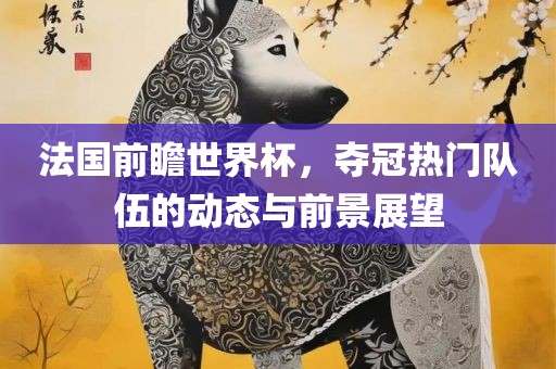 法国前瞻世界杯，夺冠热门队伍的动态与前景展望洪湖市顺升工程机械租赁有限公司