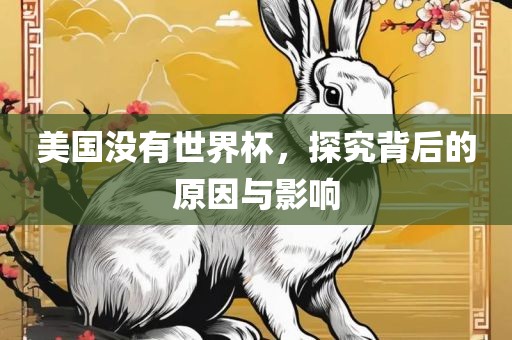 美国没有世界杯，探究背后的原因与影响