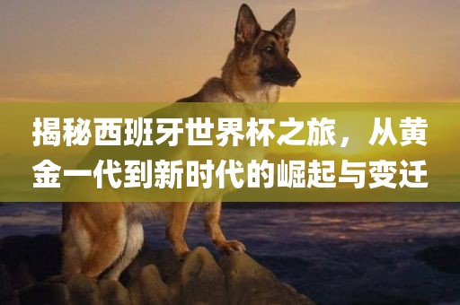 揭秘西班牙世界杯之旅，从黄金一代到新时代的崛起与变迁