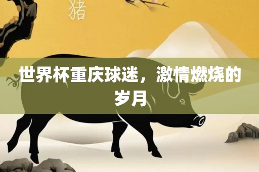 世界杯重庆球迷，激情燃烧的岁月