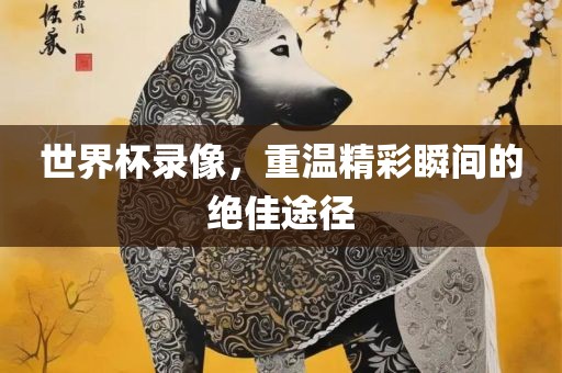 世界杯录像，重温精彩瞬间的绝佳途径