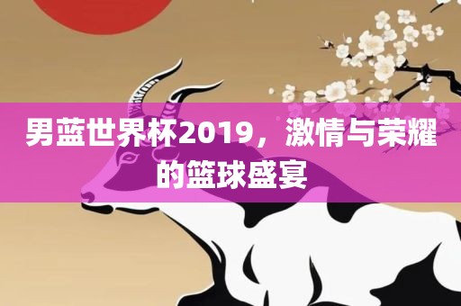 男蓝世界杯2019，激情与荣耀的篮球盛宴