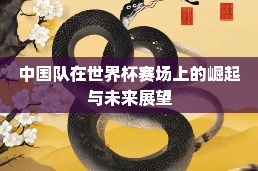 中国队在世界杯赛场上的崛起与未来展望洪湖市顺升工程机械租赁有限公司