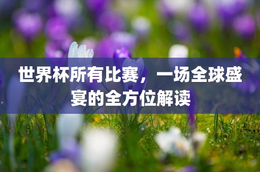 世界杯所有比赛，一场全球盛宴的全方位解读洪湖市顺升工程机械租赁有限公司