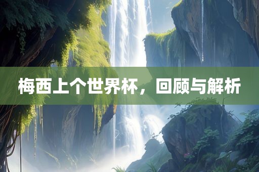 梅西上个世界杯，回顾与解析