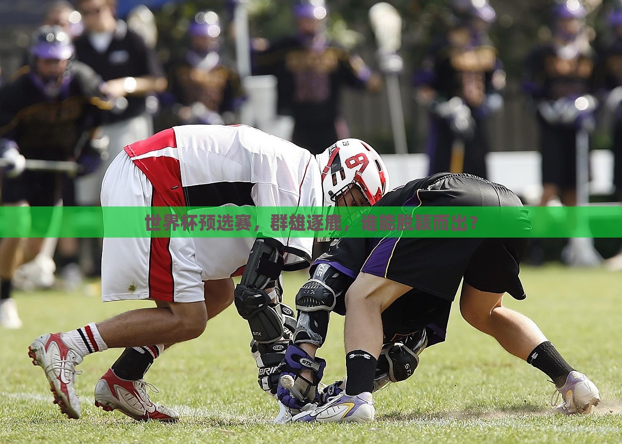 世界杯预选赛，群雄逐鹿，谁能脱颖而出？洪湖市顺升工程机械租赁有限公司